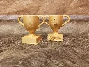 IMG_20250120_071458.webp
