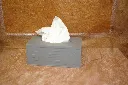 IMGP6866.webp